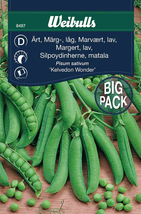 Margert, lav 'Kelvedon Wonder'